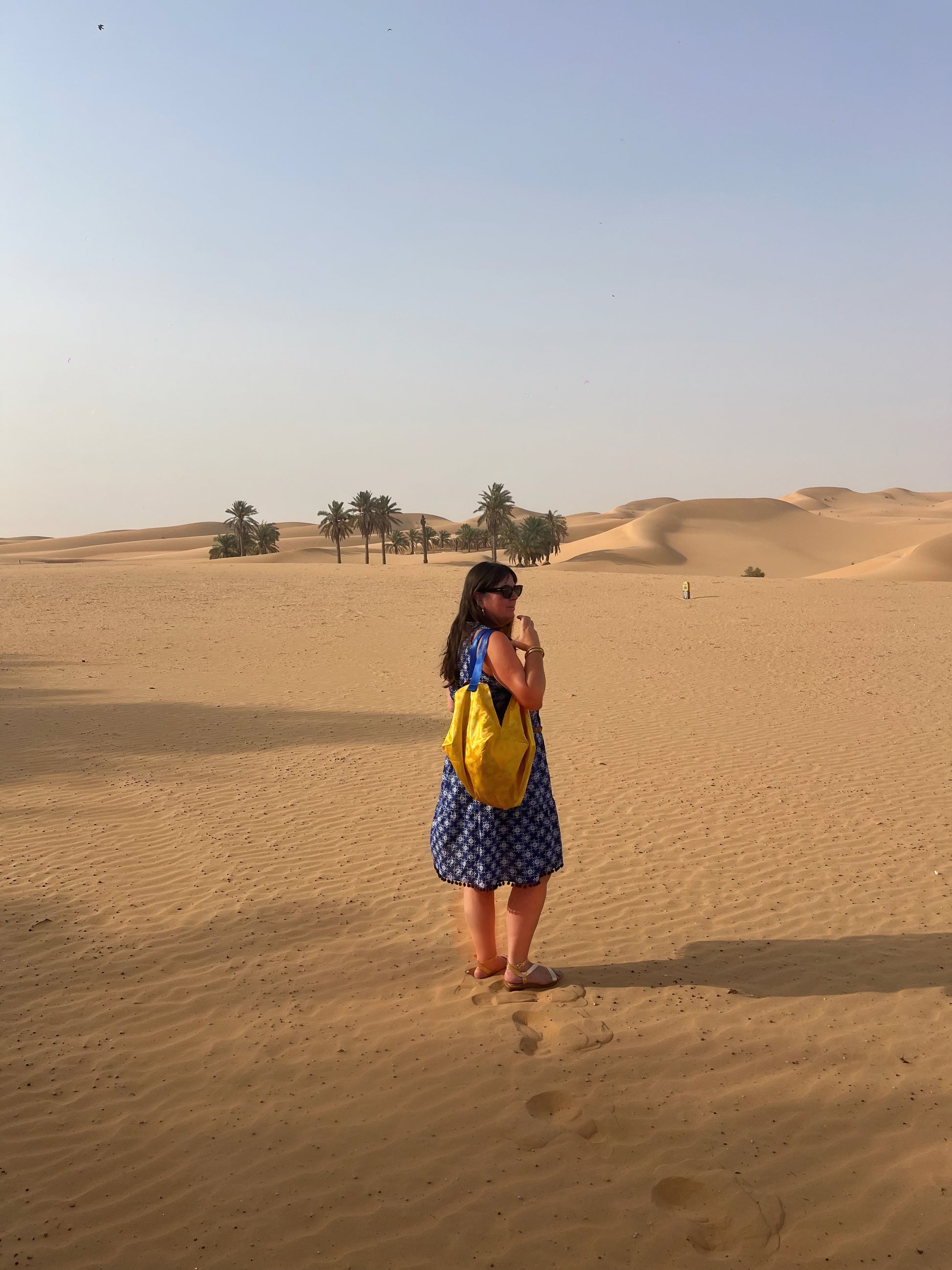 Reversible Mariko Bag | The sunset birds - Jiakuma