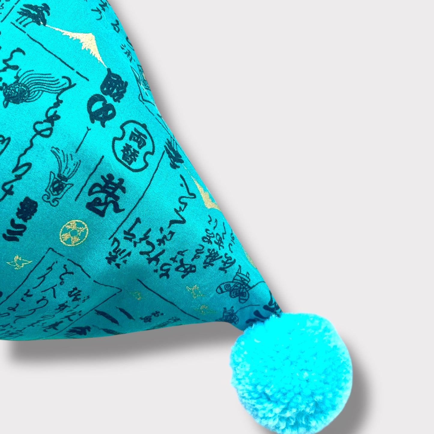 Dumpling bag | Trip to Mount Fuji